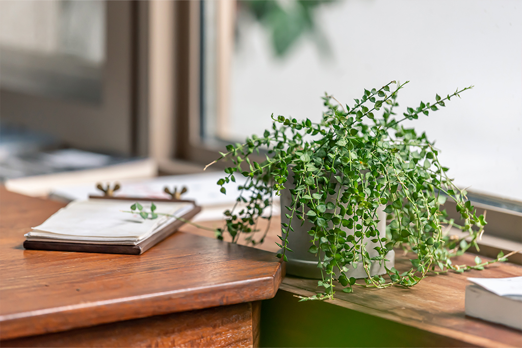 登戸産婦人科・川崎市多摩区・向ヶ丘遊園駅・登戸駅エリア・大西 賢人
